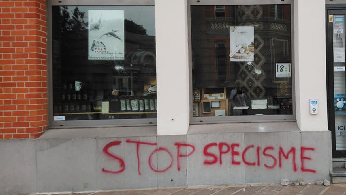 « stop spécisme », nord, fromagerie